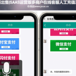 正版出售|Saas运营版多商户在线客服人工充值系统|个人收款码|API生成订单回调