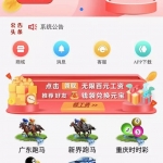 香港赛马/新界赛马会