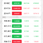 【独家修复版】微盘外汇振华控股石油重工完美/支付对接